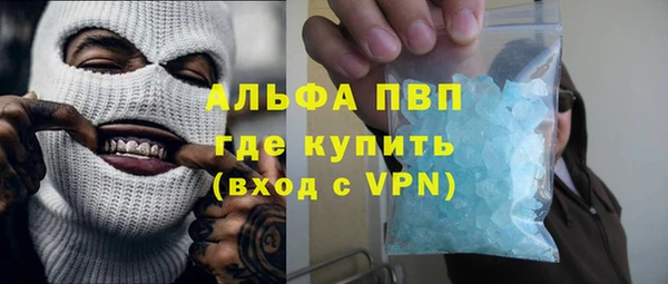 PSILOCYBIN Аркадак