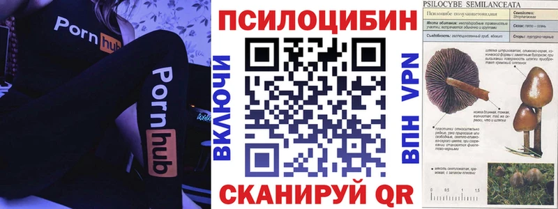 Галлюциногенные грибы Psilocybe Ясный